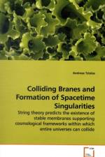 Colliding Branes and Formation of Spacetime Singularities af Andreas Tziolas
