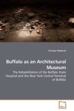 Buffalo as an Architectural Museum af Christyn Mobarak