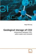 Geological storage of CO2 af Helge Hellevang