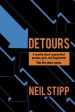 Detours af Stipp Neil Stipp
