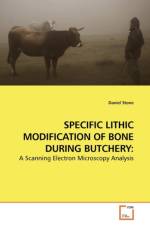 Specific Lithic Modification of Bone During Butchery af Professor Daniel Stone