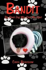 Bandit af Carol Bradshaw