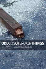 Odd Bits Of Broken Things af Todd Regoulinsky