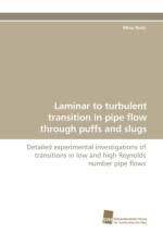 Laminar to turbulent transition in pipe flow through puffs and slugs af Mina Nishi