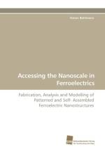 Accessing the Nanoscale in Ferroelectrics af Simon Bhlmann