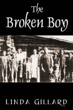 The Broken Boy af Linda Gillard