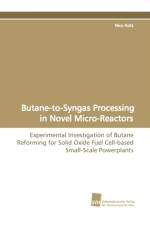 Butane-To-Syngas Processing in Novel Micro-Reactors af Nico (Duke University USA) Hotz