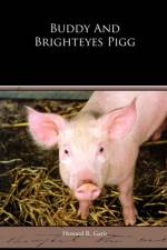 Buddy And Brighteyes Pigg af Howard R Garis