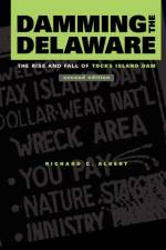 Damming the Delaware af Richard C. Albert