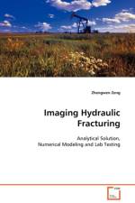 Imaging Hydraulic Fracturing - Analytical Solution, Numerical Modeling and Lab Testing af Zhengwen Zeng