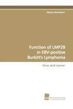 Function of Lmp2b in Ebv-Positive Burkitt's Lymphoma af Markus Rechsteiner