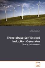 Three-phase Self Excited Induction Generator af Satnam Mahley