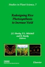 Redesigning Rice Photosynthesis to Increase Yield af P.L. (Department of Animal and Plant Sciences University of Sheffield United Kingdom) Mitchell