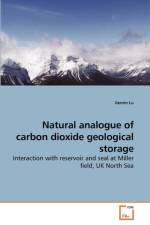 Natural analogue of carbon dioxide geological storage af Jiemin Lu