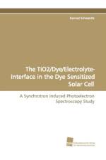 The Tio2/Dye/Electrolyte- Interface in the Dye Sensitized Solar Cell af Konrad Schwanitz