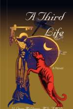 A Third Life, a Novel af G Owen McGinnis