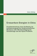 Erneuerbare Energien in China af Alexis Hellwig