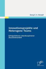 Innovationsprojekte und Heterogene Teams af Georg E a Stampfl
