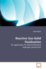 Reactive Gas-Solid Fluidization af Yousef Haseli