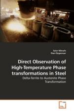 Direct Observation of High-Temperature Phase transformations in Steel af Salar Niknafs