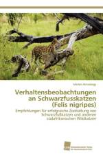 Verhaltensbeobachtungen an Schwarzfusskatzen (Felis Nigripes) af Marlen Almasbegy