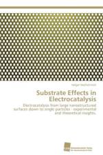 Substrate Effects in Electrocatalysis af Wolfschmidt Holger