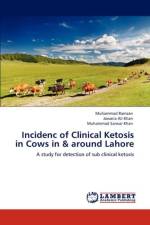 Incidenc of Clinical Ketosis in Cows in & around Lahore af Muhammad Ramzan