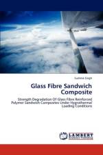 Glass Fibre Sandwich Composite af Sushma Singh