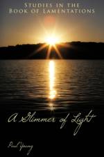 A Glimmer of Light af Paul Young