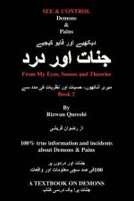 See & Control Demons & Pains af Rizwan Qureshi