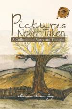 Pictures Never Taken af Marianne Burrow Gray