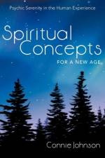 Spiritual Concepts for a New Age af Connie Johnson