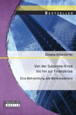 Von der Subprime-Krise bis hin zur Finanzkrise af Silvana Unterdoerfer