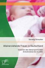 Alleinerziehende Frauen in Deutschland af Solveig Schuster