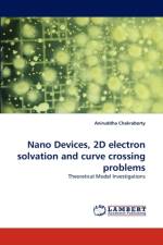 Nano Devices, 2D Electron Solvation and Curve Crossing Problems af Aniruddha Chakraborty