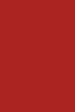 Middle Eastern Economic Relations with the Soviet Union, Eastern Europe, and Mainland China. af Robert Loring Allen