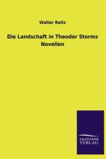 Die Landschaft in Theodor Storms Novellen af Walter Reitz
