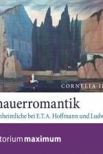 Schauerromantik af Cornelia Ilbrig
