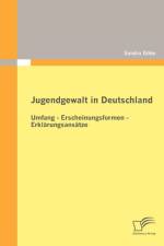 Jugendgewalt in Deutschland af Sandra Goeke