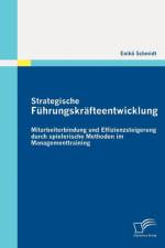Strategische Fuhrungskrafteentwicklung af Enikoe Schmidt