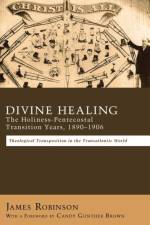 Divine Healing af Professor James (Harvard University Massachusetts) Robinson