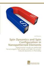 Spin Dynamics and Spin Configuration in Nanopatterned Elements af Rhensius Jan