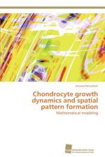 Chondrocyte growth dynamics and spatial pattern formation af Palumberi Viviana