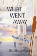 What Went Away af Ann Stewart-Porter