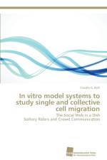In vitro model systems to study single and collective cell migration af Claudio G Rolli