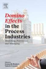 Domino Effects in the Process Industries