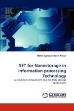 Set for Nanostorage in Information Processing Technology af Mohd Sadique Shaikh Anwar