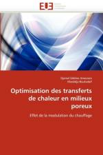Optimisation Des Transferts de Chaleur En Milieux Poreux af Collectif