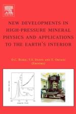 New Developments in High-Pressure Mineral Physics and Applications to the Earth's Interior