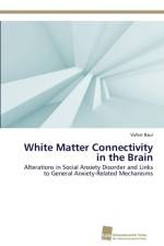 White Matter Connectivity in the Brain af Volker Baur